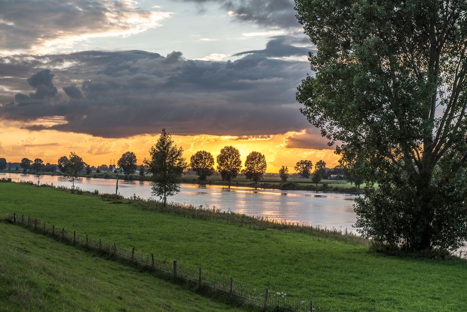 Vanaf de dijken heb je de mooiste uitzichten op de Maas en natuur