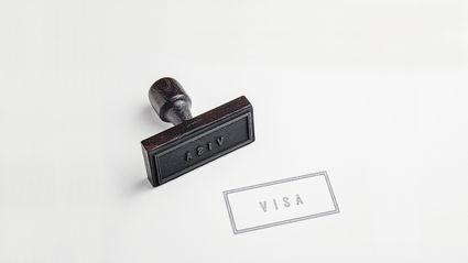 Visa Stamp