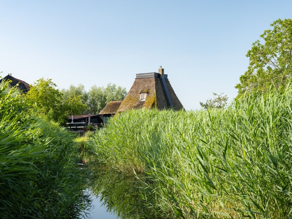 Historische bebouwing tussen het riet