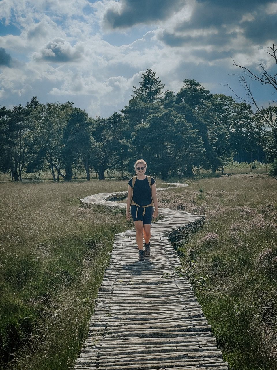 Knuppelpad op de Strabrechtse Heide