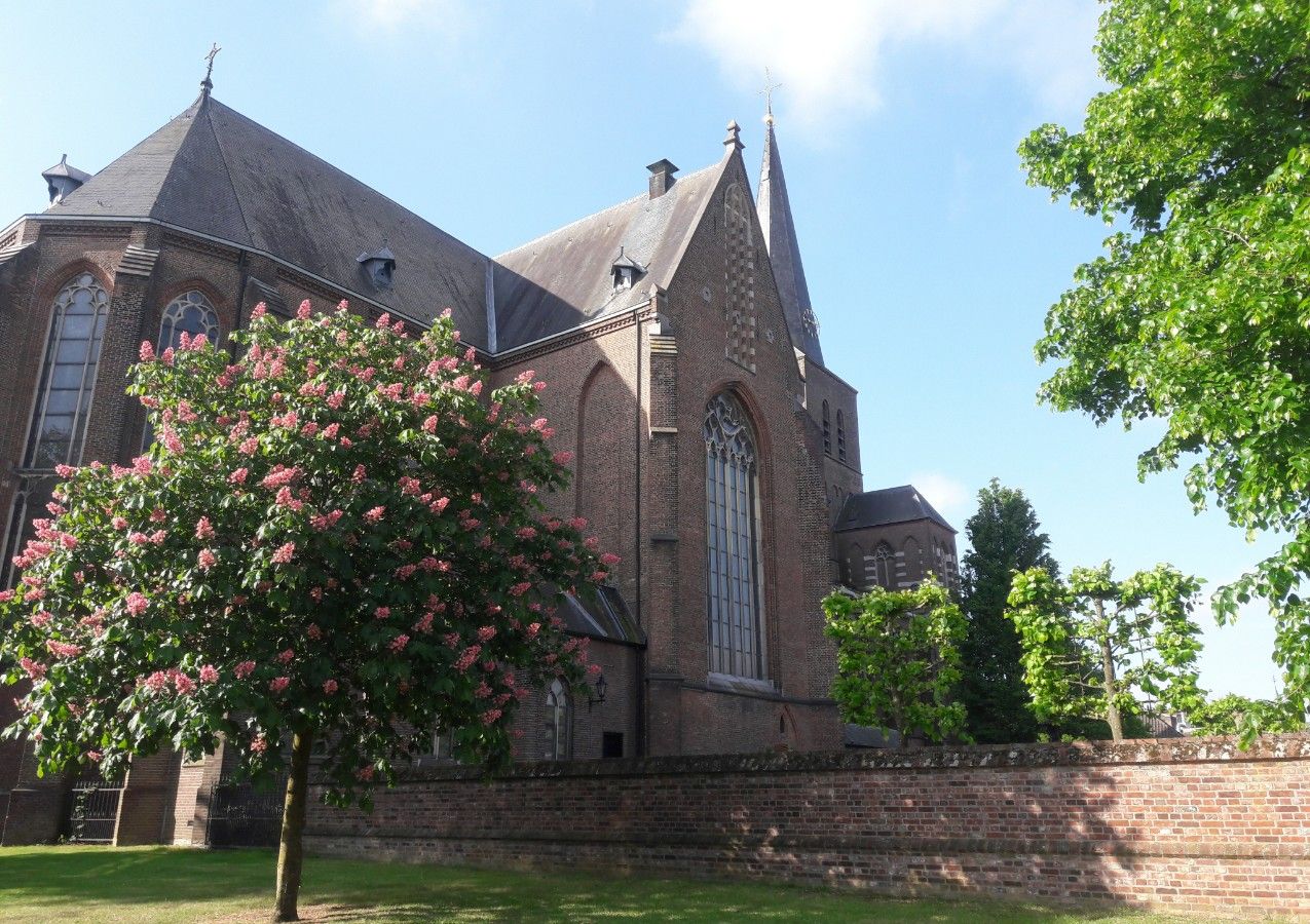 Sint Willibrorduskerk deurne