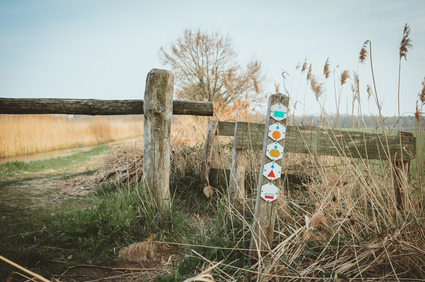 Wandelen Warmbeekvallei