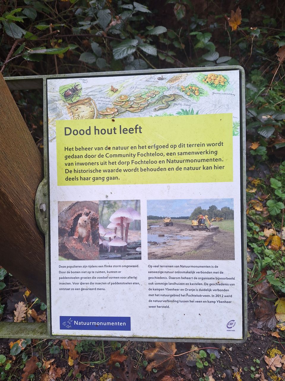 Rolstoelroute bij Fochteloo