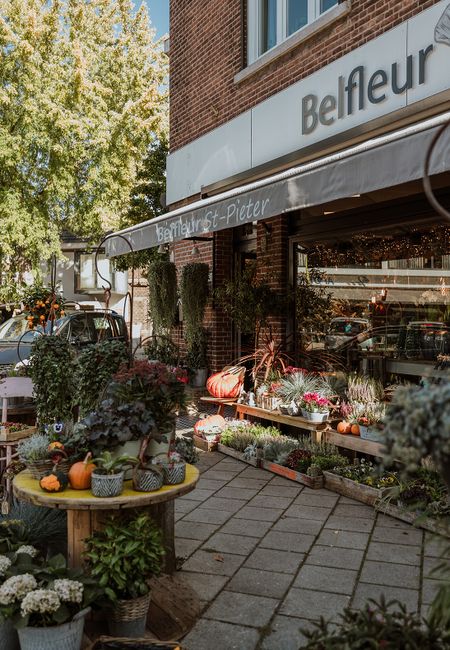 Belfleur Sint Pieter voorkant