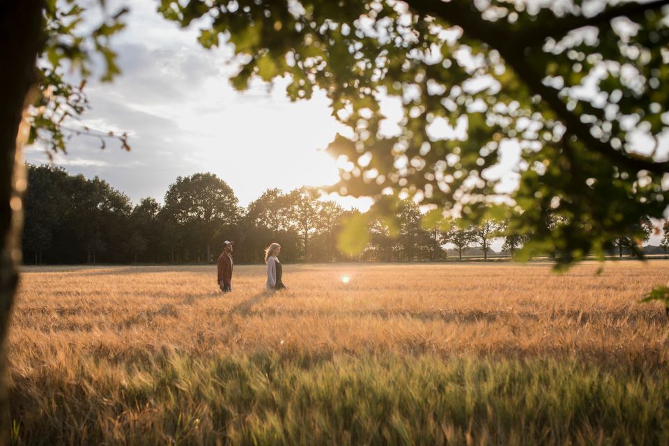 Ein Paar wandert in der Abendsonne durch ein großes goldfarbenes Kornfeld.