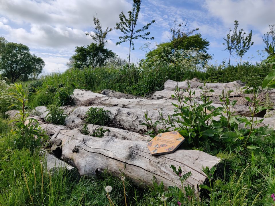 Balklandpark Harlingen Wadi's