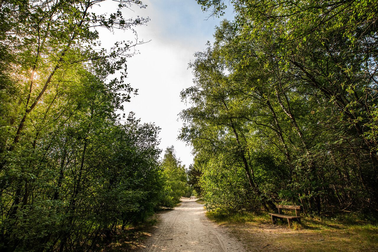 Kalmthoutse Heide
