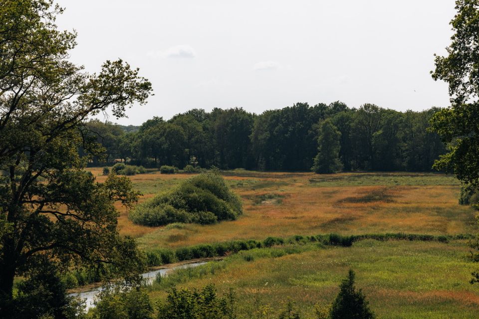 Uitzicht op een groen hooiland met een meanderende beek.
