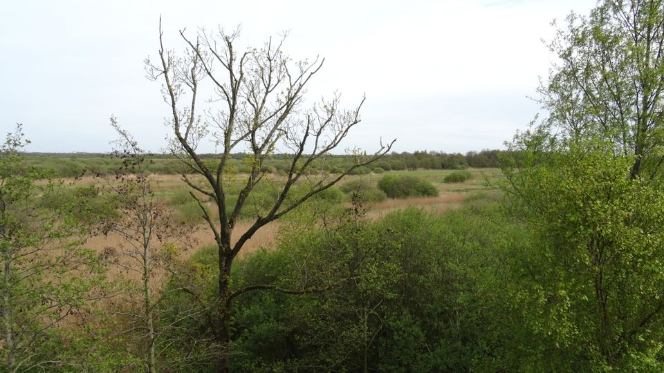 Cultuurhistorischeroute | Nationaal Park De Alde Feanen | Op é Trapers