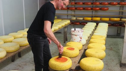 Boerderij De Sophiahoeve