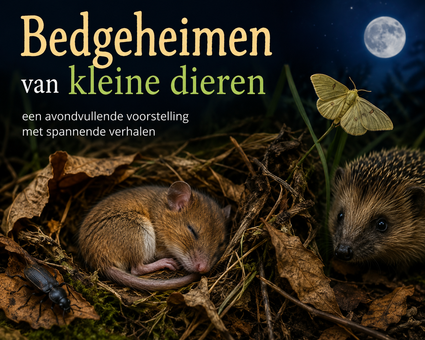 IVN-KNNV | Thema-avond | Bedgeheimen van kleine dieren