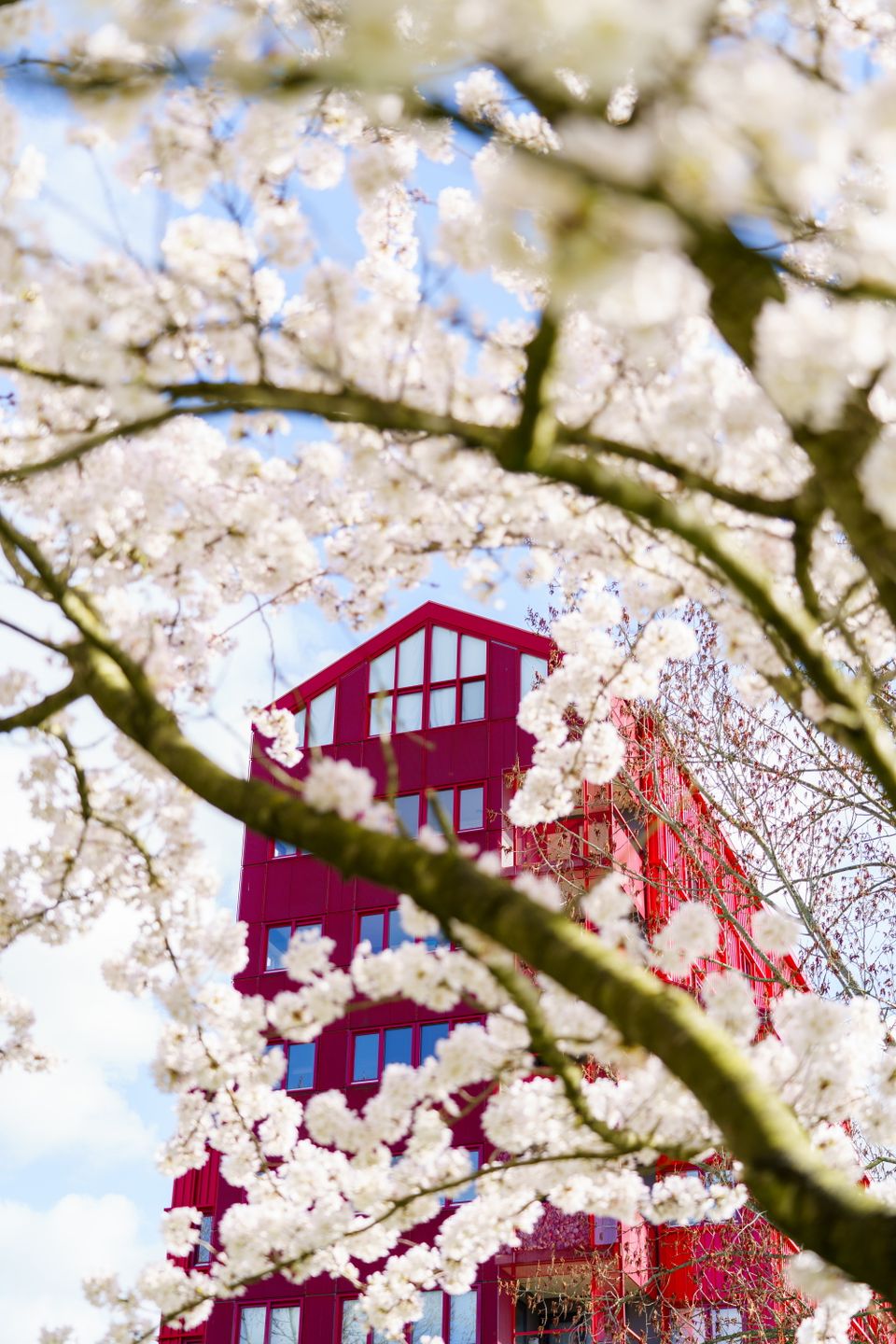 Rooie donders architecture almere