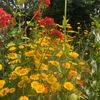 Verfplantentuin Kleine-Lijn