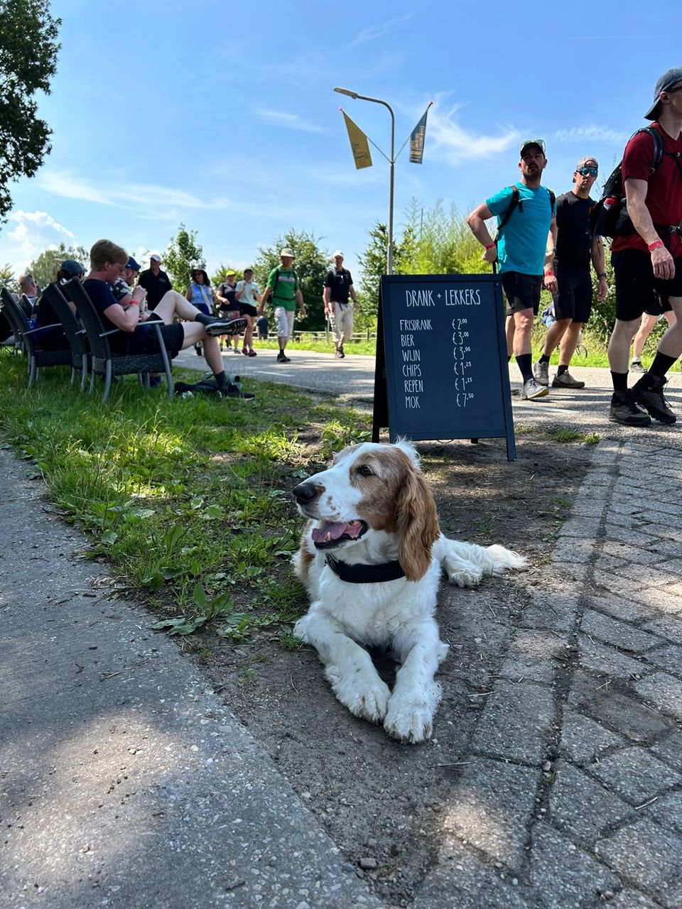 Hond zit op het gras bij Slapen bij Herman