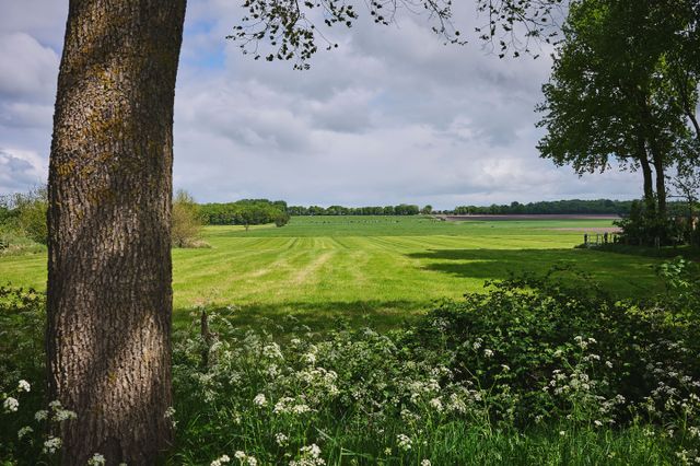 Glooiend Landschap Murnserdyk Gaasterland Friesland
