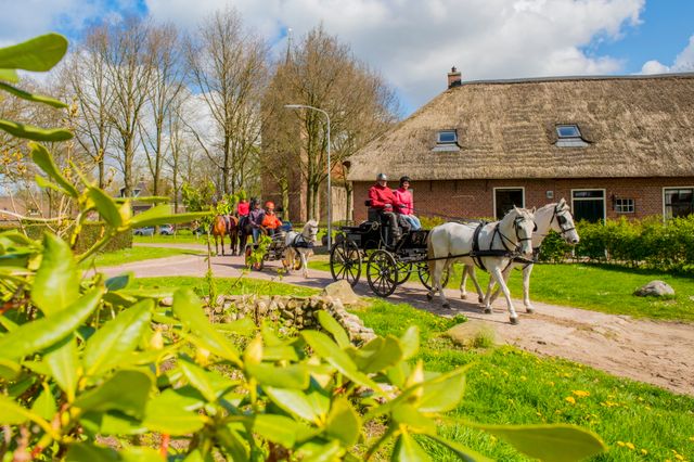 Menners rijden met hun paarden door een authentiek Drents dorp.
