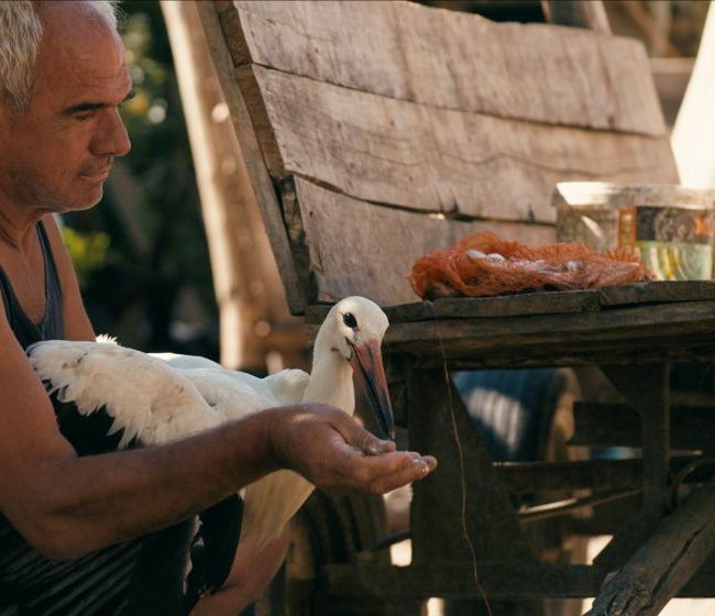 The Tale of Silyan documentaire 81 min