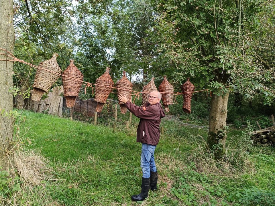Historische eendenkooi, gids Johan Hanko, Blokland, Montfoort, Groene Hart. Gids toont gevlochten broedkorven die tussen de bomen hangen, onderdeel van de traditionele inrichting van een eendenkooi in een groen natuurgebied.