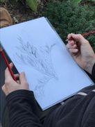 IVN Natuur-tekenworkshop