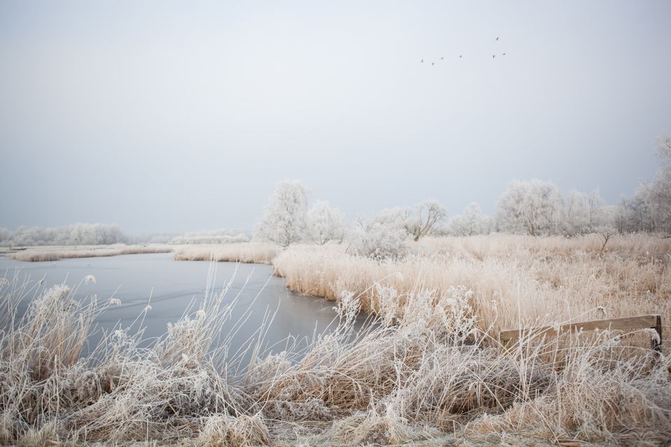 Twiske in de winter