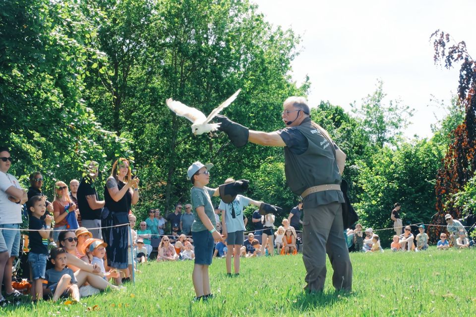 Feestelijke seizoensopening | Met spectaculaire roofvogelshow