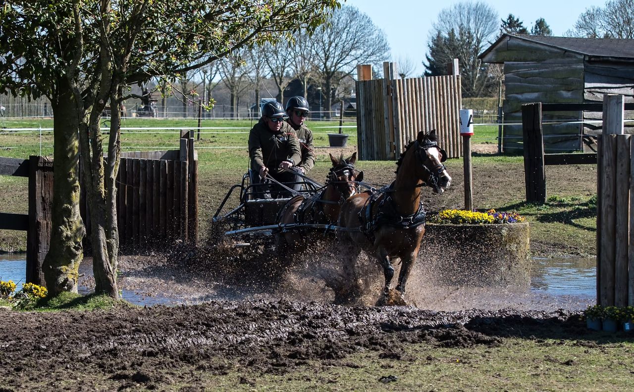 Paarden en koets (aanspanning) op het mooie parcours in Heukelom