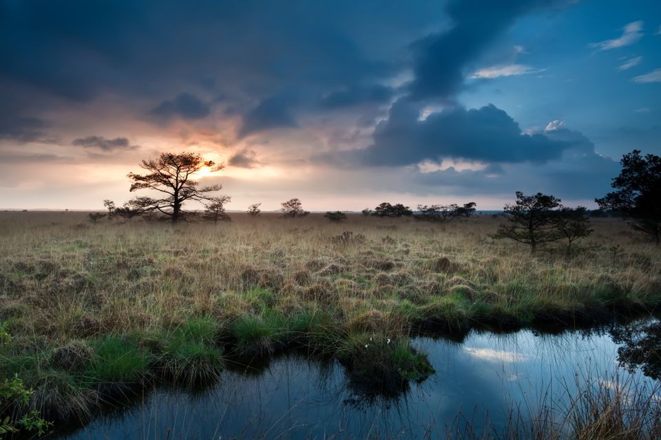 Eine dunkle Wolkendecke hängt über dem Naturschutzgebiet Fochteloërveen.