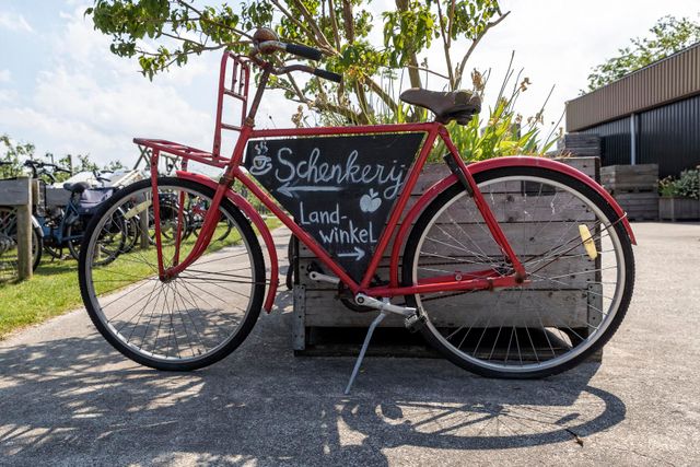lente Alphen aan den Rijn terras
