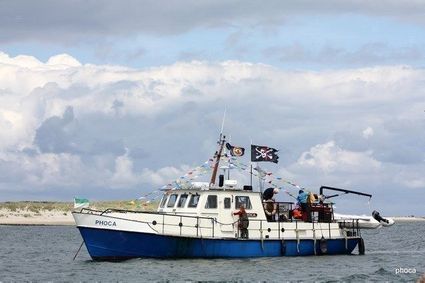 Phoca Waddentocht Vlieland