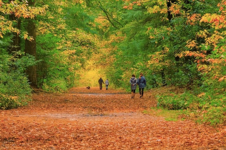 Wandelen in een herfstbos