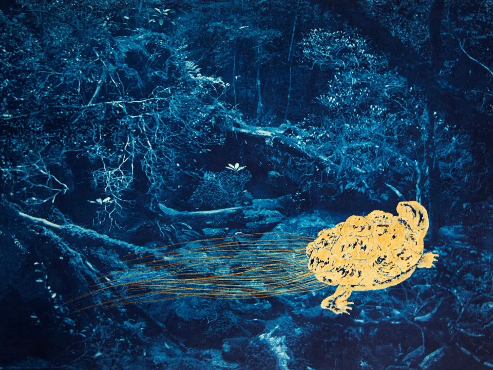 a golden turtle in the water