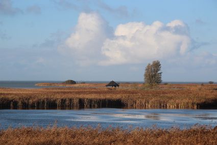 Koaiwaard Makkum