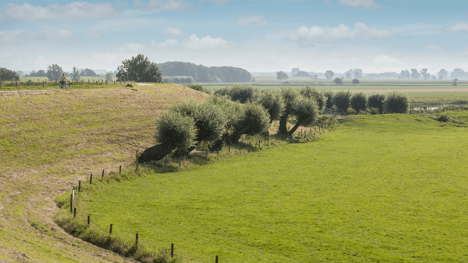 Groene Hart: Schoonhoven groen landschap header