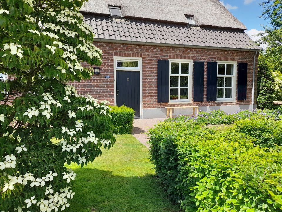 Gevel van een boerderij, half met rieten kap en half donkere dakpannen. Donkere voordeur en luiken. Groene tuin met veel groene beplanting en struik met witte bloemen op de voorgrond.