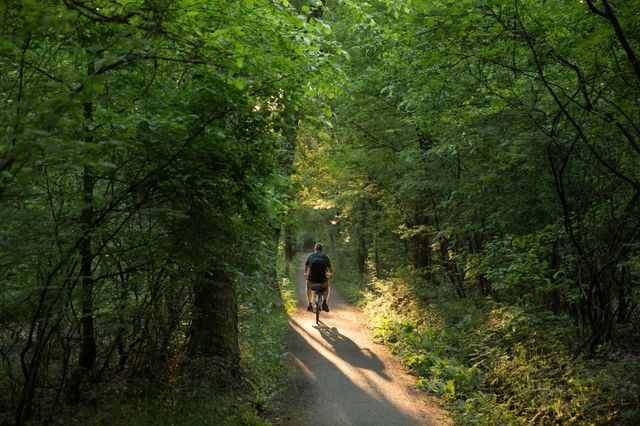 Een man fietst door het groene bos.
