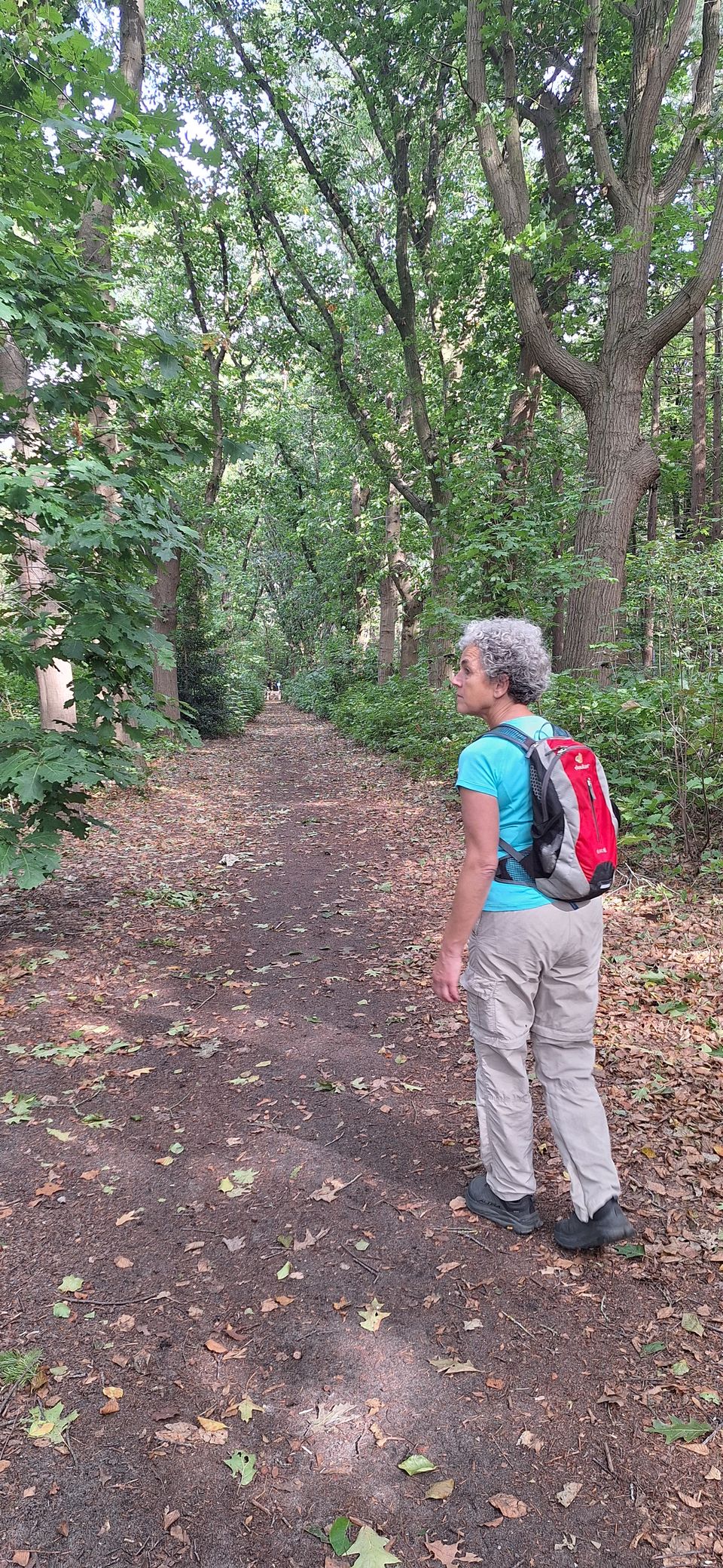 Langere afstandswandelingen
