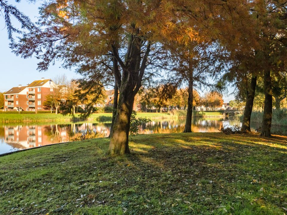 Huizen aan het water