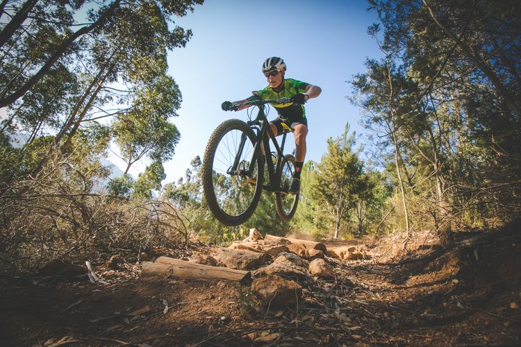 Mountainbiken bos