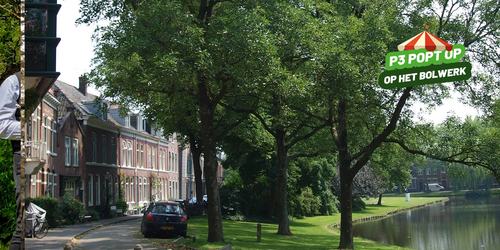 Bomen op een rij in Purmerend