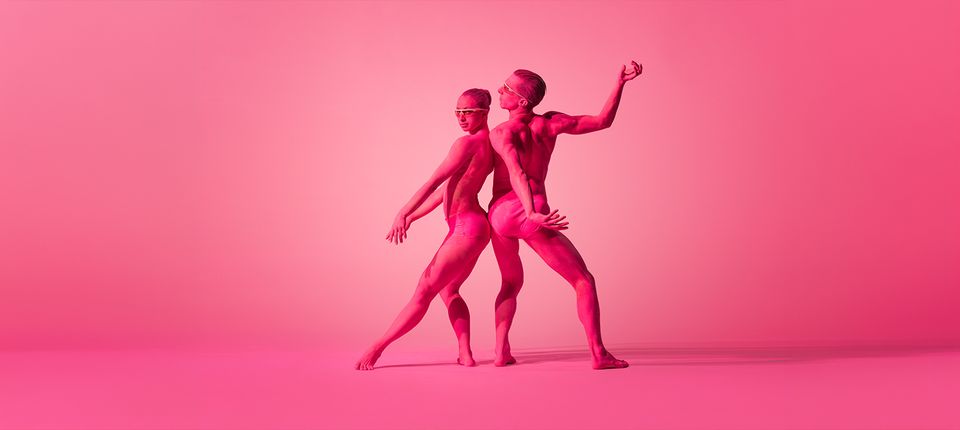 Programmering theater de Lievekamp