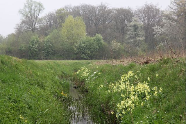 Geldersch Landschap & Kasteelen