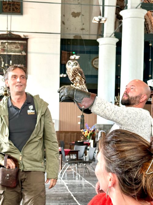 Een uil in de kerk