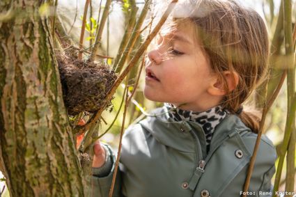 OERRR Eieren zoeken in het Dwingelderveld