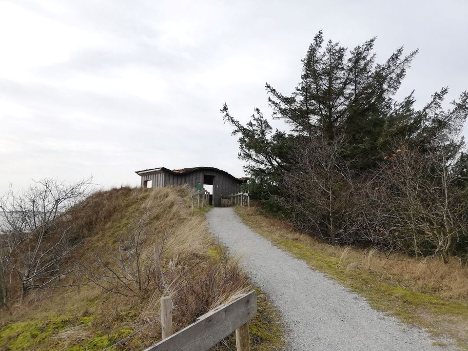 vogelkijkhuisje (klein)