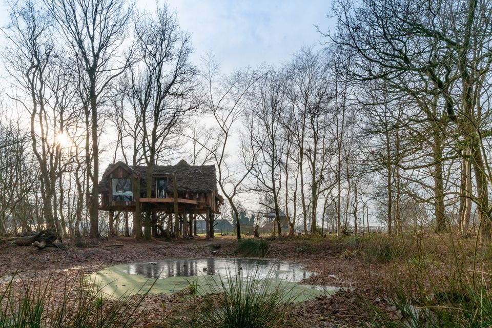 Een grote boomhut met een laaghangende zon die door de bomen schijnt.