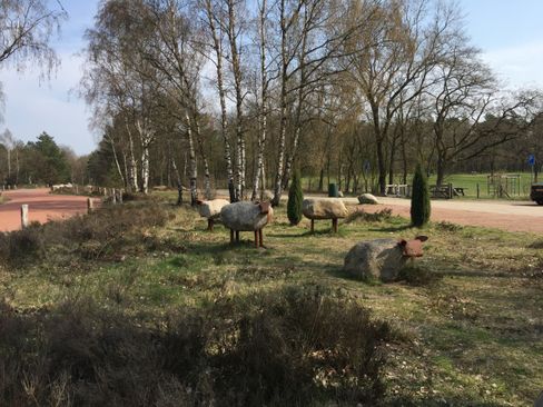 Schaapjes Stakenberg