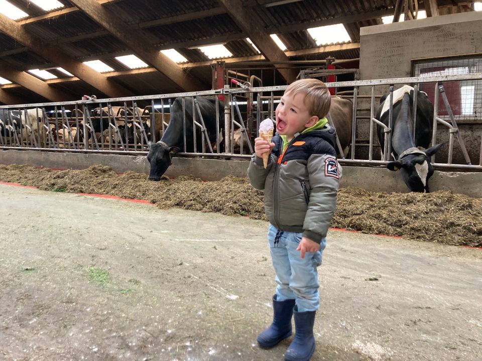 een jongetje staat in een stal met een ijsje in zijn hand