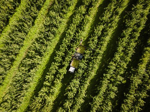 Luchtfoto van boomgaard bij De Proeftuin in De Beemster.