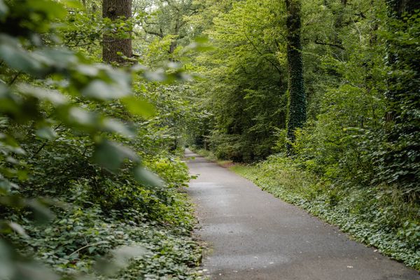 Pad in stadspark de Warande