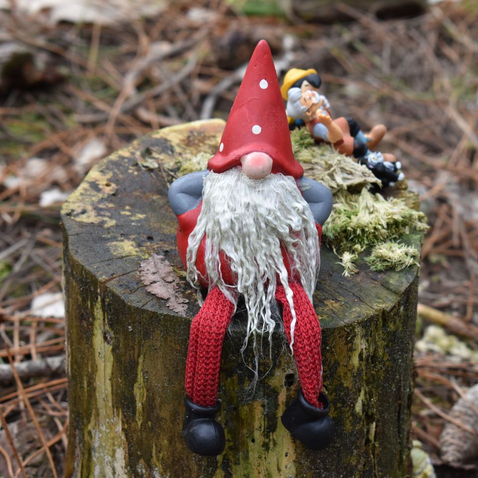 Kabouterbos Vlieland 3